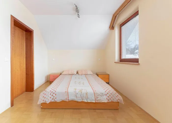 Apartma Ana
